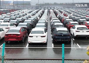 美国汽车预测车价多少 美国汽车预测车价多少