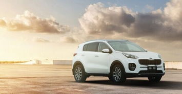 梦幻汽车价格多少