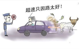 汽车超速多少会被罚