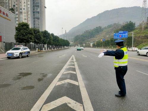 雨城区有多少汽车