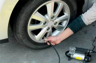 汽车锤有多少种