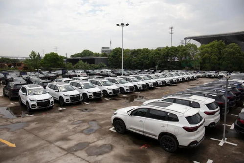 坐汽车离家多少公里