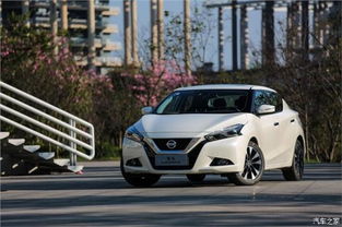 蓝鸟汽车多少年