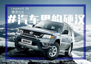 猎豹汽车品种有多少