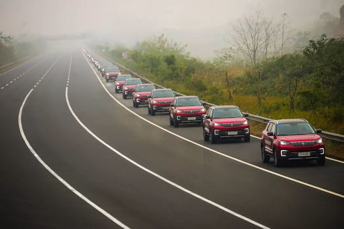 长安汽车市净率多少