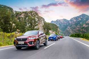 汽车名牌可以遮挡多少 汽车名牌可以遮挡多少