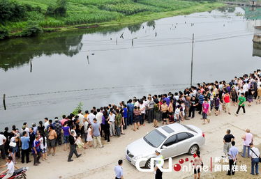 简阳汽车有多少辆 简阳汽车有多少辆