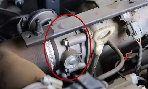 汽车气门分多少种