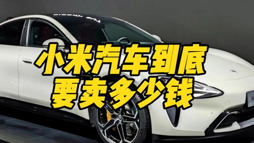 小米汽车卖多少合适