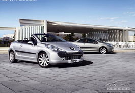 黔江标致汽车估价多少