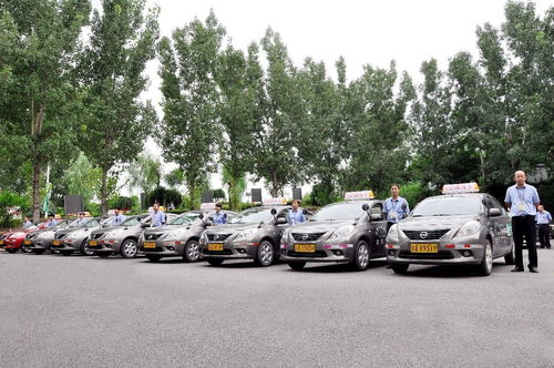 身高多少不能学汽车