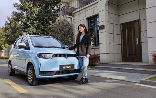 汽车接电宝价格多少