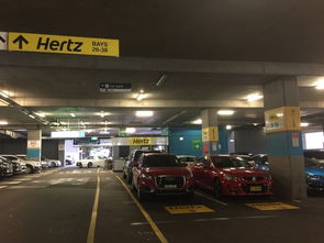 澳洲汽车教练收费多少