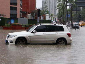汽车泡水预计赔款多少