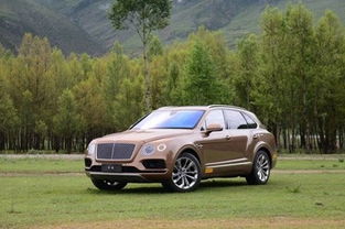 汽车马力多少正常 汽车马力多少正常