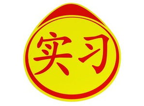 汽车实习标志贴多少