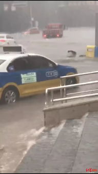 今年有多少汽车被淹