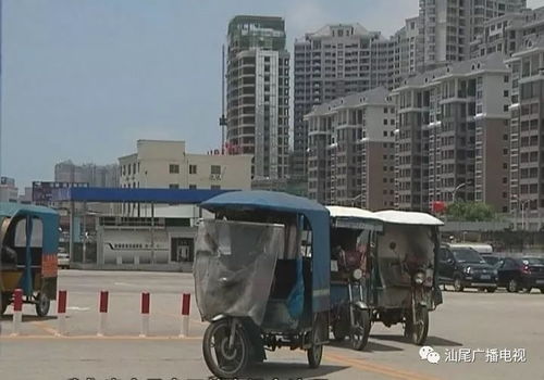 汕尾有多少汽车总站