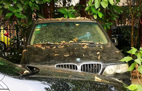 汽车不能停放多少天