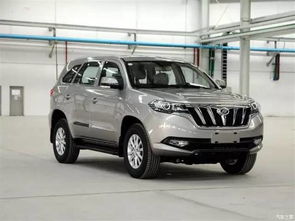 揽福汽车多少万