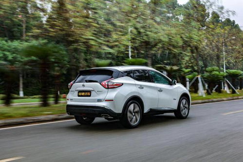 越南汽车日产报价多少