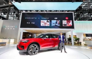 宁南汽车店报价多少