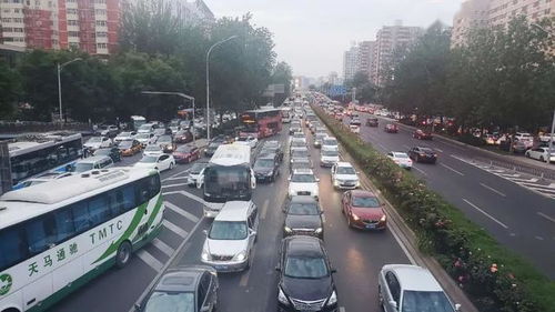 深圳牌汽车报销多少