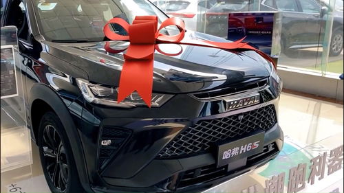 广西汽车落地价多少 广西汽车落地价多少