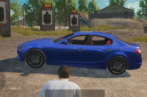 和平精英有多少汽车