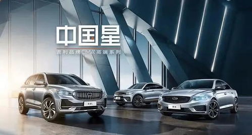 汽车黄冠牌多少价位