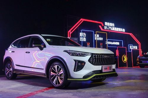 大鲜汽车粉丝多少 大鲜汽车粉丝多少