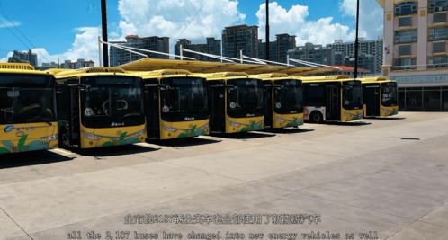 海南汽车总量多少辆车