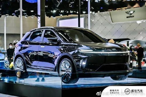 北方汽车股价多少美元