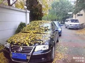 乌克兰汽车报废年数多少