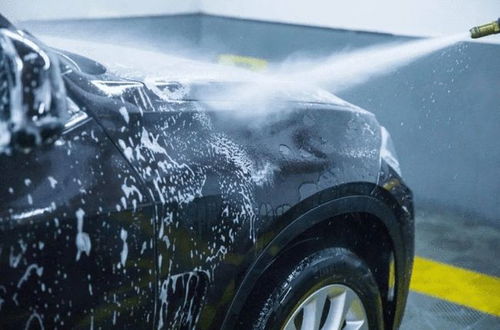 汽车海棉多少钱