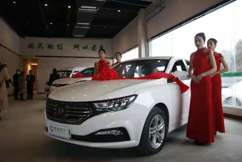 巴中能源汽车有多少