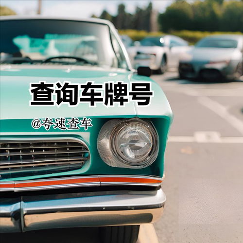 汽车多少码看哪里 汽车多少码看哪里