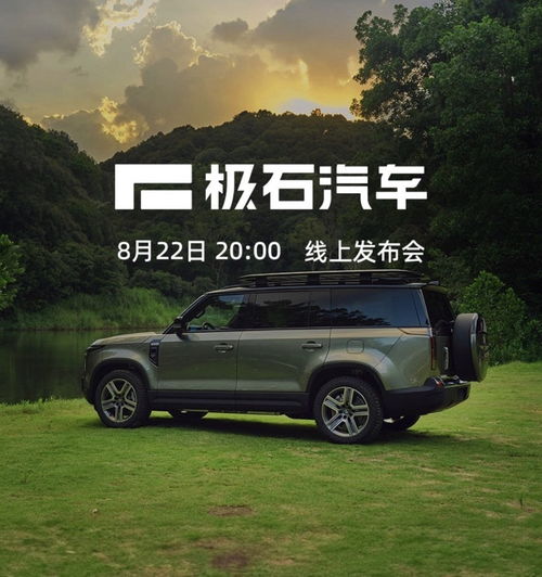 极石汽车首付多少