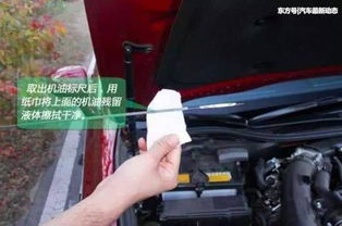 怎么检查汽车有多少