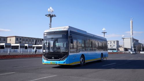 金龙汽车盈利 亏损多少 金龙汽车盈利 亏损多少