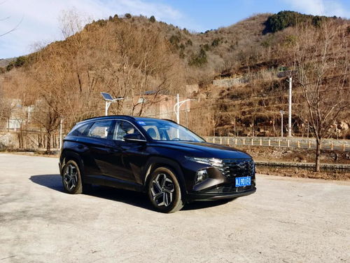 韩国汽车初装油耗多少