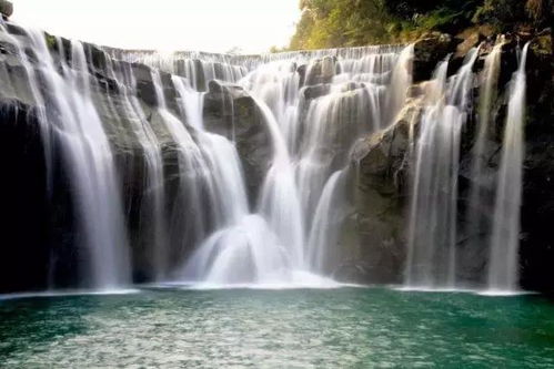 汽车鲜花瀑布费用多少