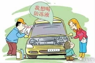 汽车保养液用量多少