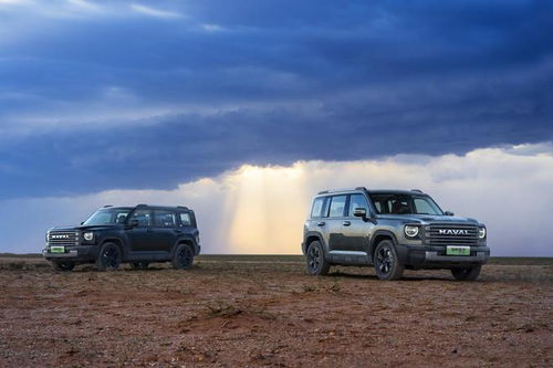 汽车坚定费是多少 汽车坚定费是多少