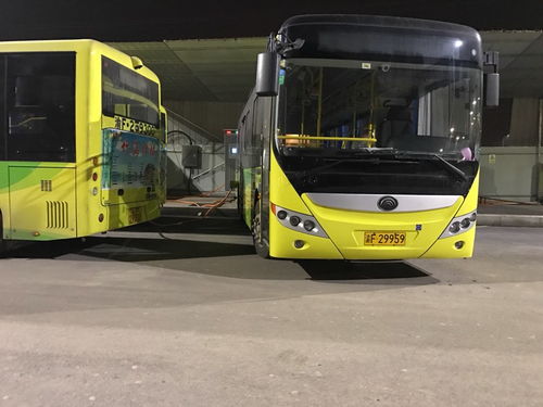 公共汽车多少辆