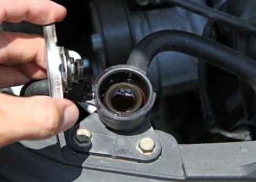 汽车机油保养利润多少