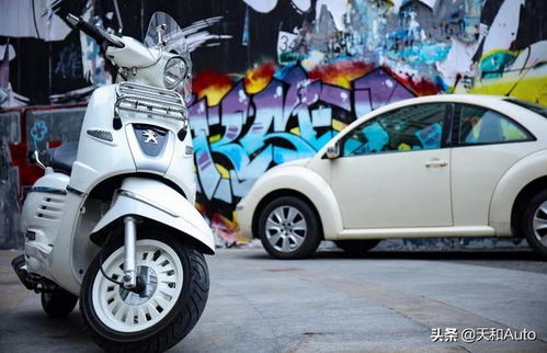 踏板比汽车耗油多少