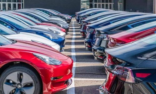 乐拼汽车多少元