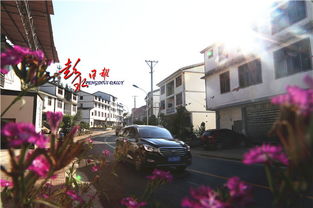 彭水有多少辆汽车