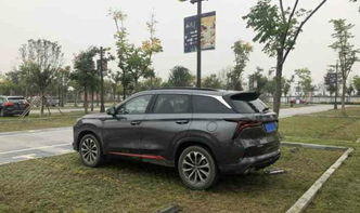 实际汽车多少钱